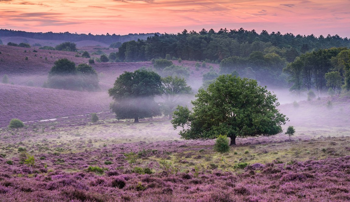 nationalpark-veluwezoom-holland